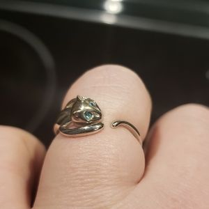 Adjustable Cat ring